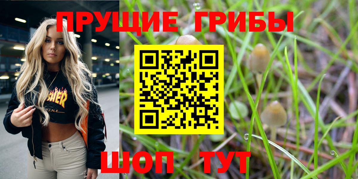 Галлюциногенные грибы Psilocybe Коркино