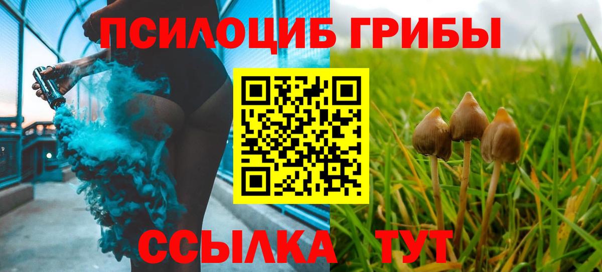 Галлюциногенные грибы Psilocybine cubensis  Вход с VPN  Коркино 
